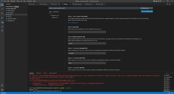 Settings - python_temelleri - Visual Studio Code 13.01.2023 15_06_38