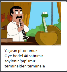 resim